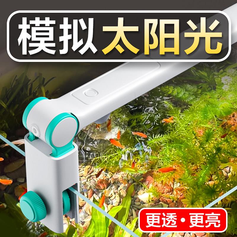 小型鱼缸专用灯LED照明观赏灯南美射灯爆藻水草灯2025新款造景灯