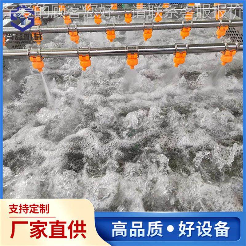 尚供应菜荠气泡清洗机 山野菜SY-QX300水连续清益洗设备 脱蔬菜加,清洗/食品/商业设备,果蔬加工设备,淘宝优惠券,粉丝福利购,淘宝优惠卷