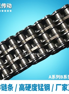 三排链条 滚子链 06B-3 08B-3 10A-3 10B 12B 12A 16B 20B 24A 32