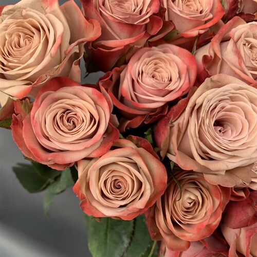 卡布奇诺玫瑰鲜花云南直发直批基地昆明斗南助农真花水养家用花束