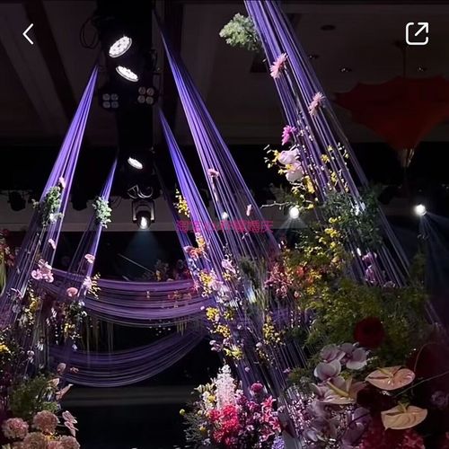 2024年新款加密线帘造型双头固定婚庆线帘 婚礼舞台装饰吊顶挂帘