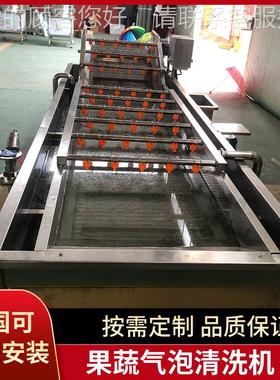 全自动TJP果蔬清洗机 蔬菜加菜清洗生工产流线水 气泡冲浪喷淋洗