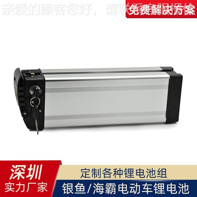 源头海48v10A款厂家定制热销电车锂电池自行车 代驾车霸动48v10AH