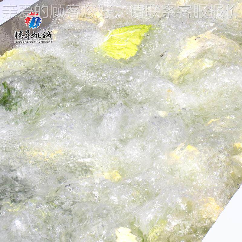 工直销蓝 果蔬气泡清洗李子辣椒莓大枣多功能商用XMJ杀菌厂机洗菜