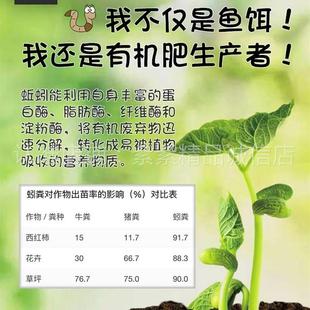 蚯蚓养殖箱发酵桶养蚯蚓透气有机营养土专用箱堆肥箱厨余沤肥花肥