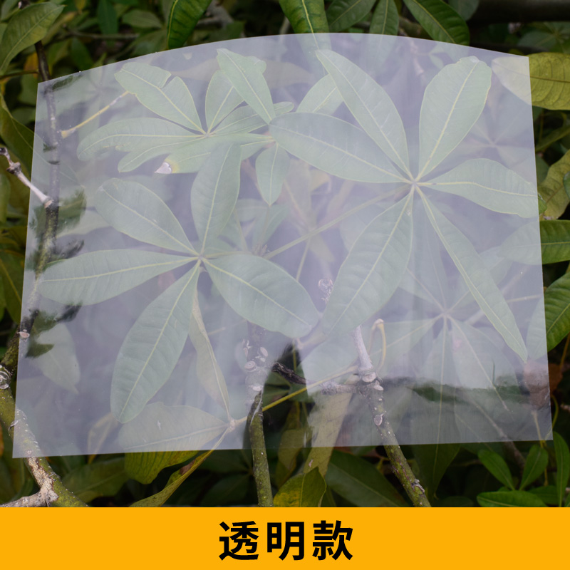 雷盛A3装订胶片PP封面PVC标书塑料封皮装订胶片A4夹条封面半透明