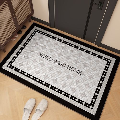 高级轻奢入户门地垫大门口防滑脚垫门垫进门玄关地毯加厚可定制