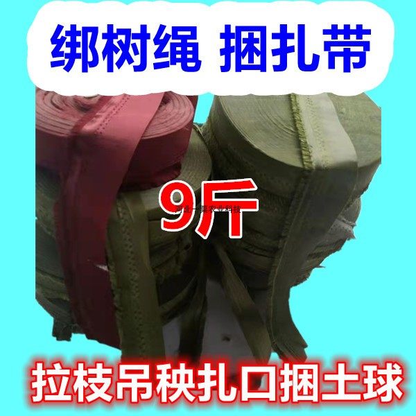 捆扎绳子捆绑带压膜线布条帆布腰带绑口树根打包捆口拉枝吊蔓吊秧,农机/农具/农膜,大棚压膜绳/压膜线,淘宝优惠券,粉丝福利购,淘宝优惠卷