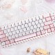 星迹外设飞羽集粉色珠光键帽透光原厂适配ev63夜魔wooting键帽