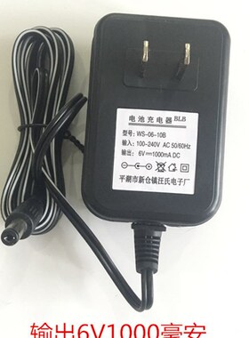 汪氏WS-06-10B儿童四轮遥控电动车充电器6v1000mA小孩童车玩具