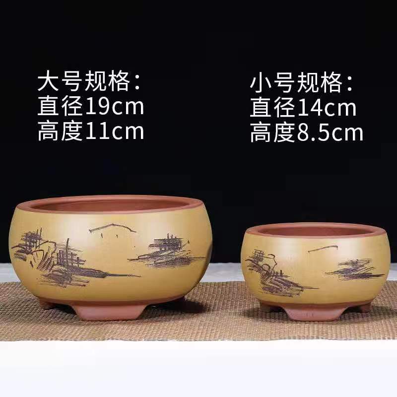 紫砂小花盆蝴蝶兰室内创意盆景多肉精致君子兰兰花仙人球桌面摆件