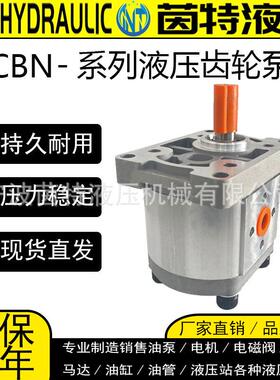 液压压齿轮泵CBN-F310/304/314/320液压小型油泵总成液压配件