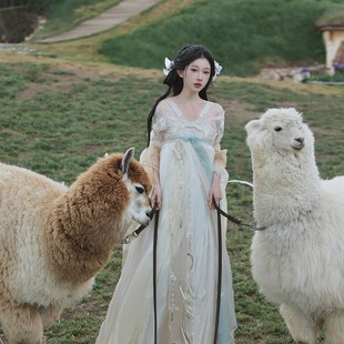 芥子记嫦月m改良魏晋南北朝齐胸汉服