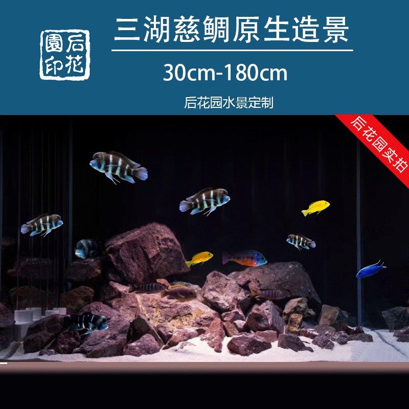 三湖造景岩栖石造景三湖慈鲷三湖躲避枝桠虾虎石雕罐三湖缸定制造