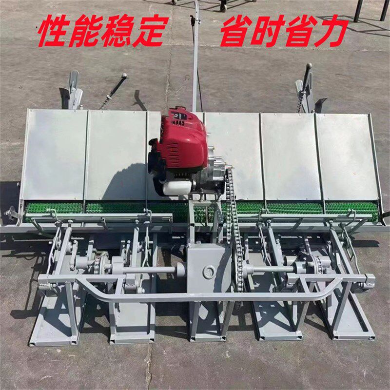 人工手动小型插秧机农用耕种机械 手推式水稻新式六行插禾机