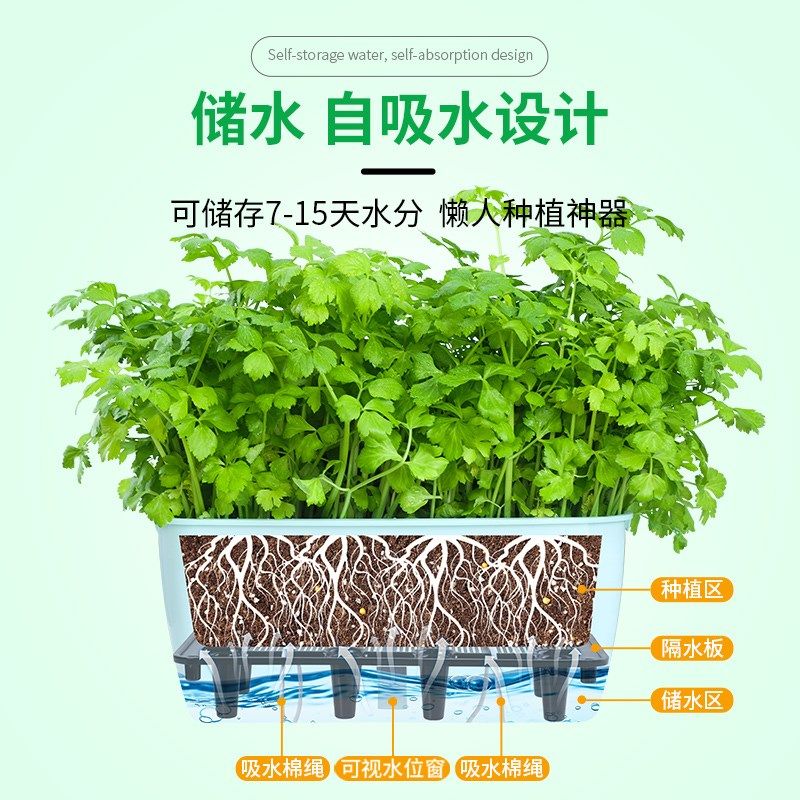 阳台种菜盆种菜专用箱懒人花盆家庭自吸水塑料花箱草莓种植箱楼顶,鲜花速递/花卉仿真/绿植园艺,花盆,淘宝优惠券,粉丝福利购,淘宝优惠卷