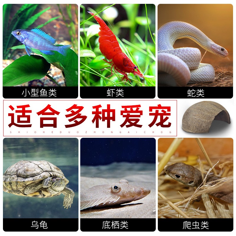 天然椰壳躲避屋鱼虾螃蟹守宫宠物蛇乌龟爬宠蜥蜴蝎子躲避洞穴装饰