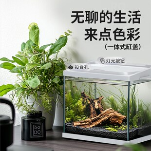 佳璐小型鱼缸玻璃家用客厅办公室桌面生态懒人免换水金鱼缸水族箱
