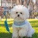 狗狗牵引绳中小型犬防爆冲防挣脱遛狗链子比熊泰迪博美胸背带狗绳