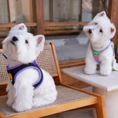 狗狗胸背带牵引绳小型犬背心式 泰迪比熊泰迪防挣脱遛狗绳狗链子