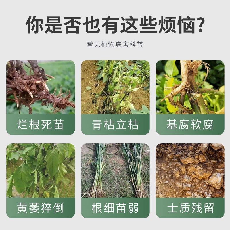 贝可施根腐净化宝烂根专用营养液激活植物活力药花卉绿植通用果树,鲜花速递/花卉仿真/绿植园艺,家庭园艺肥料,淘宝优惠券,粉丝福利购,淘宝优惠卷