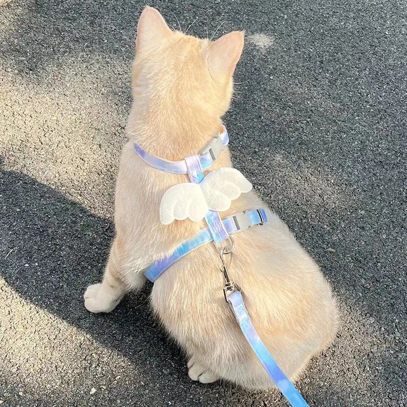 猫咪牵引绳外出专用可调节胸背遛猫绳子可爱翅膀小型犬宠物狗用品,宠物/宠物食品及用品,猫牵引绳,淘宝优惠券,粉丝福利购,淘宝优惠卷