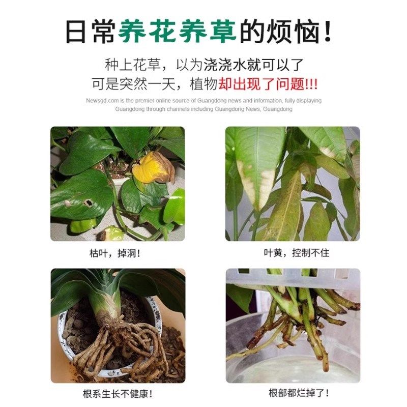 营养液植物通用型水培发财树多肉绿萝富贵竹花卉室内盆栽绿植养花,鲜花速递/花卉仿真/绿植园艺,家庭园艺肥料,淘宝优惠券,粉丝福利购,淘宝优惠卷