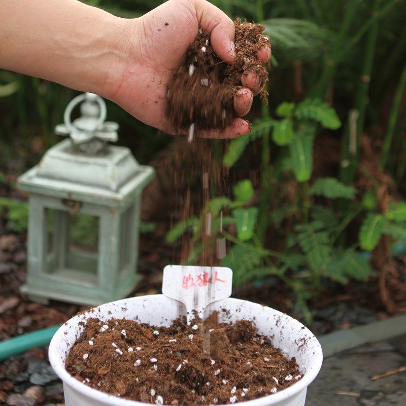 养花通用型泥炭土种植土壤有机花土种菜家用土陶粒月季蔬菜营养土,鲜花速递/花卉仿真/绿植园艺,介质/营养土,淘宝优惠券,粉丝福利购,淘宝优惠卷