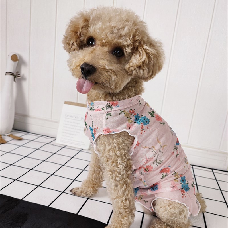 夏季薄款狗狗防晒防尘衣服母狗包肚子网纱洞洞高弹面料木耳边背心