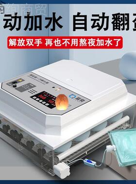 家用蛋器的孵器鹌鹑鸭鹅小型自动孵化63600机孵全化小鸡小孵鸡鸽
