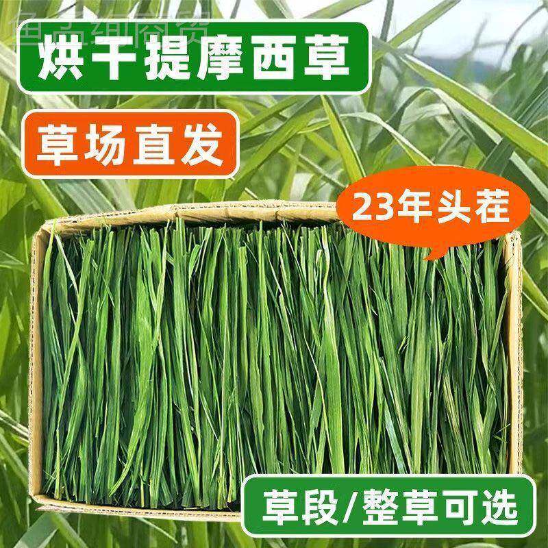 7A提西莫烘晒干兔子草新草草龙ffy猫食用草兔干子草粮荷兰猪豚鼠