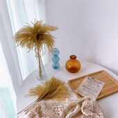 小芦苇草天然干束家居装 拍摄道具 饰橱店铺软装