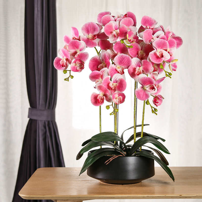 蝴蝶兰仿真花艺客厅摆设餐桌面摆件室内假花卉装饰盆栽塑料电视柜