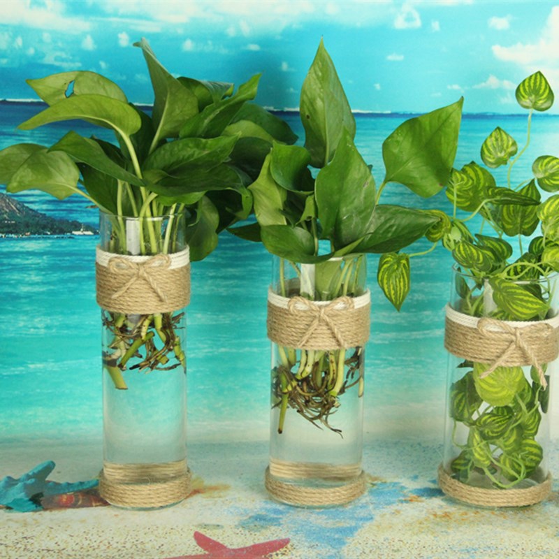 创意壁挂墙面麻绳玻璃转运竹花瓶 家居现代装饰zkk田园