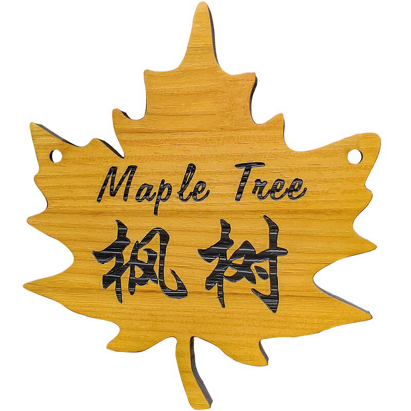 定制实木树牌挂牌树木认养牌园林绿化创意标识牌树名牌简介牌