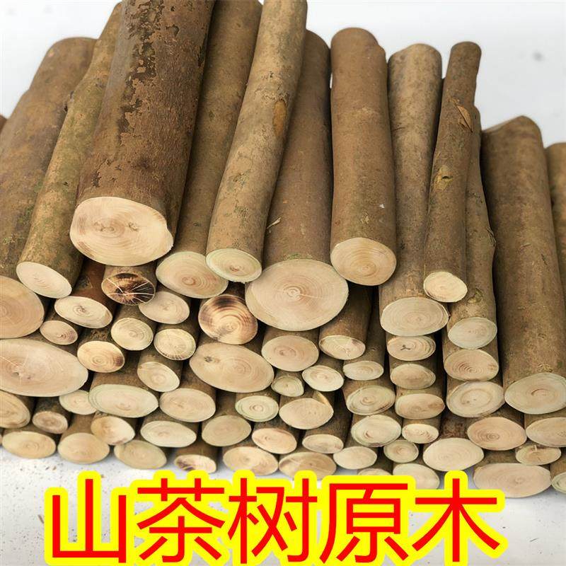 实木带皮圆木片壁炉装饰木柴树桩木材装饰木头山茶树木桩