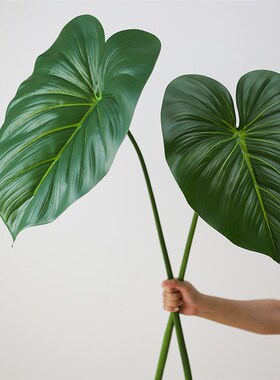 高端大号仿真绿植龟背叶海芋叶仿真叶子园艺造景摆设民宿装饰