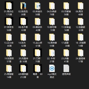 自选有歌词丨华语流行歌曲原唱车载校园乐坛金曲9后经典