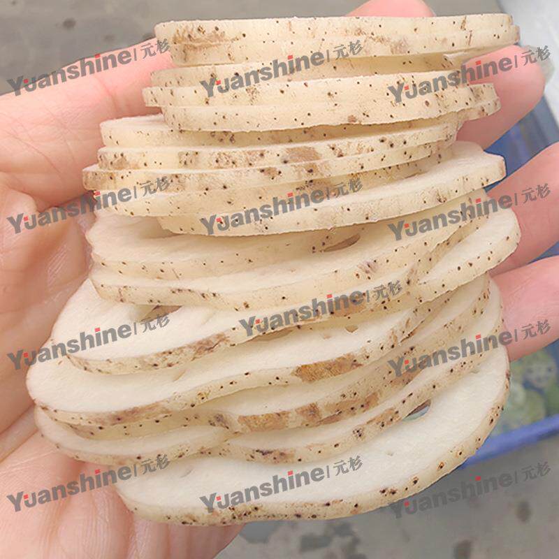 全ZNZ自动药材切切片片机 商用土豆红薯切片条机 根山葵辣根茎类