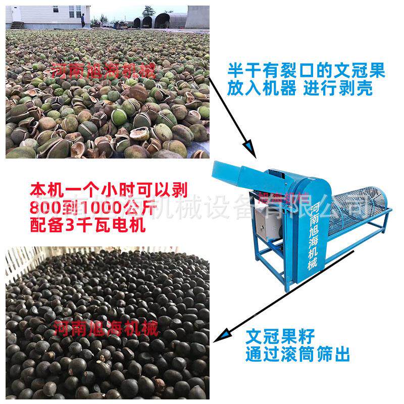 新款文冠果果剥壳分机文官木瓜龙果龙瓜去壳取籽设脱备壳BIM离加