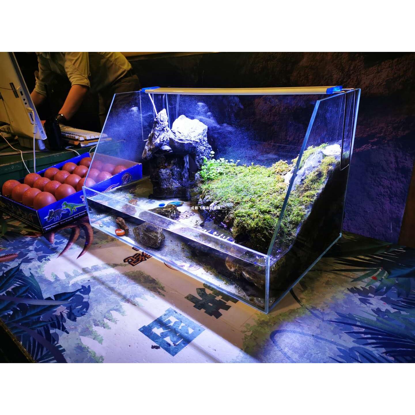 亚克力斜口水陆缸养乌龟缸热带雨林植物生态缸鱼缸长方形大型景观