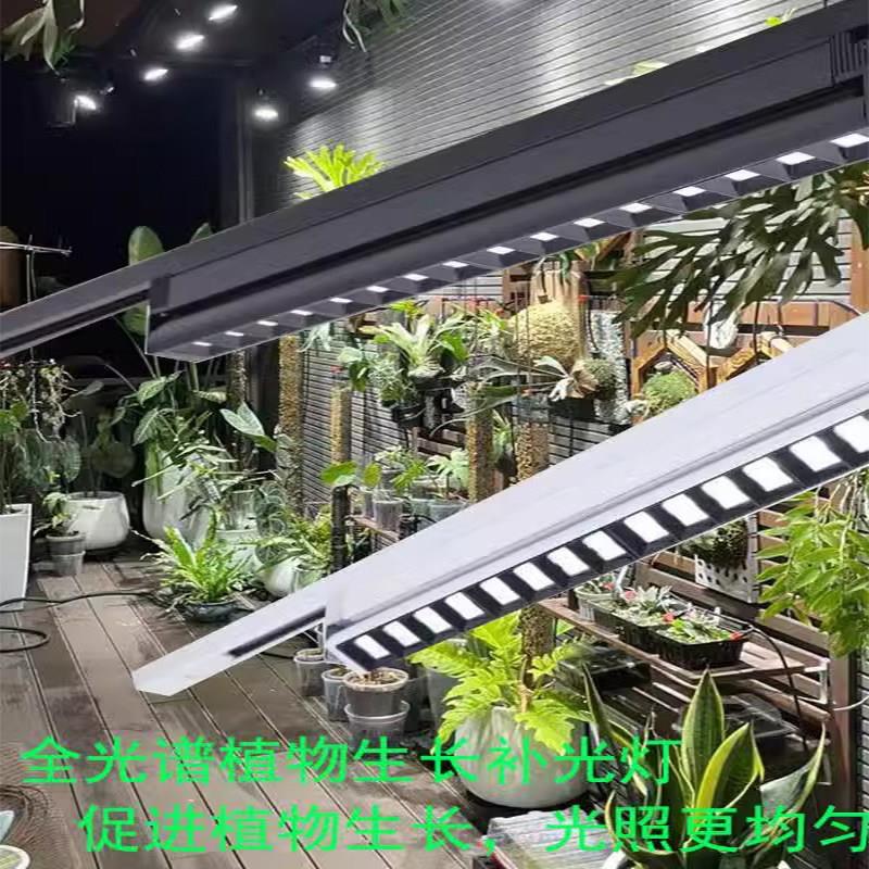 植物生长灯全光谱多肉补光灯上色室内蝴蝶兰鹿角蕨补光灯led