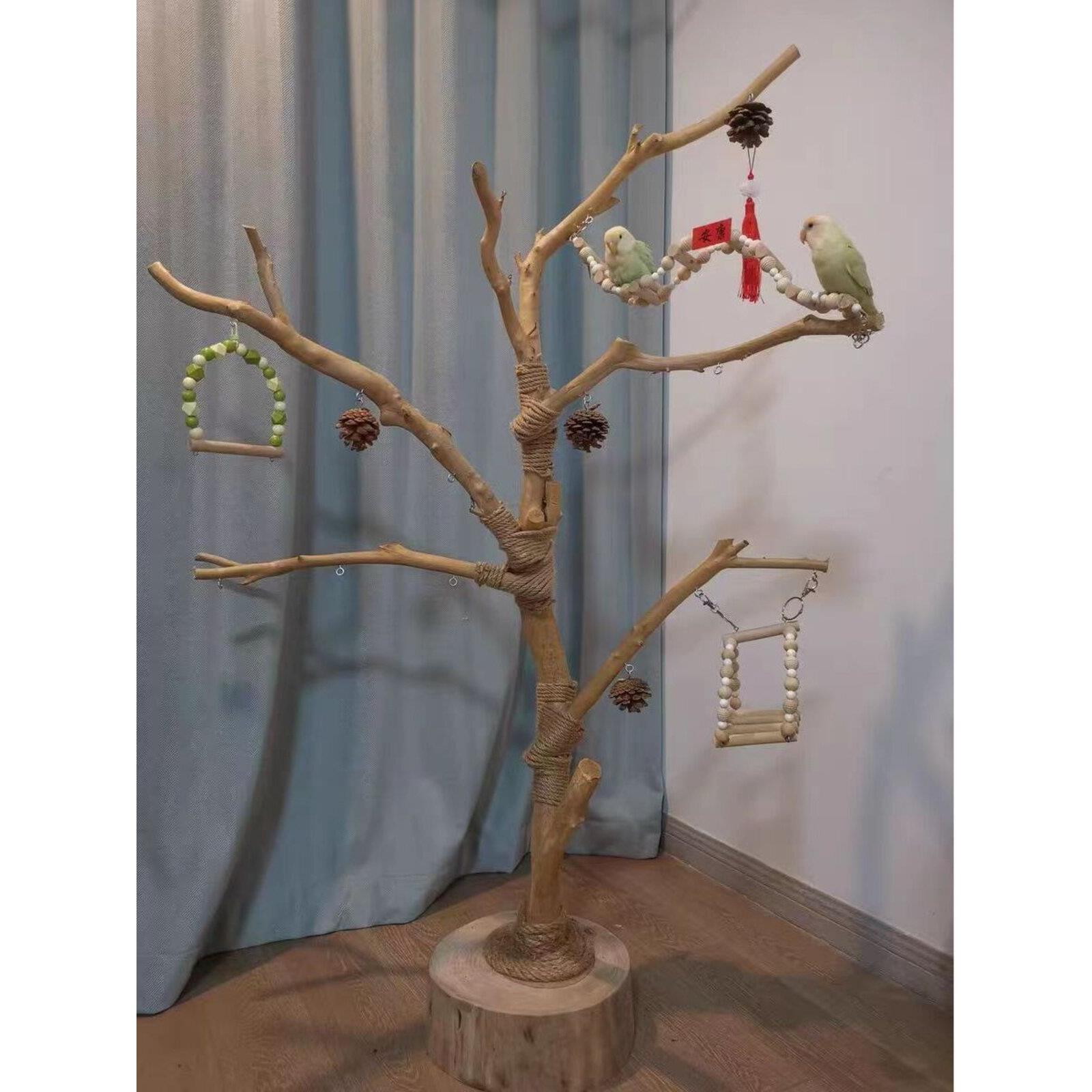 鸟站架树枝树杆鹦鹉站架树干原木站杆树杈秋千鸟笼实木灯架枯枝