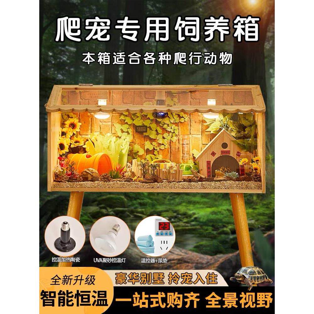 爬行动物宠物繁殖箱鬃狮蜥蜴变色龙角蛙壁虎蜥蜴景观恒温箱刺猬蛇