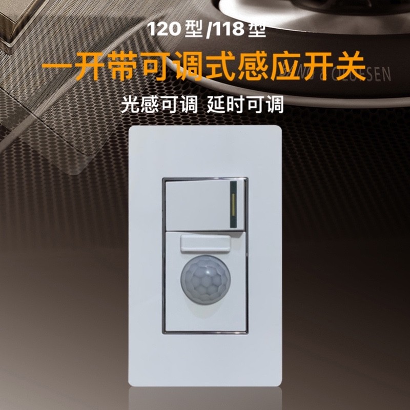 120型一开双控加可调式感应开关延时时间可调光控可调可用100WLED