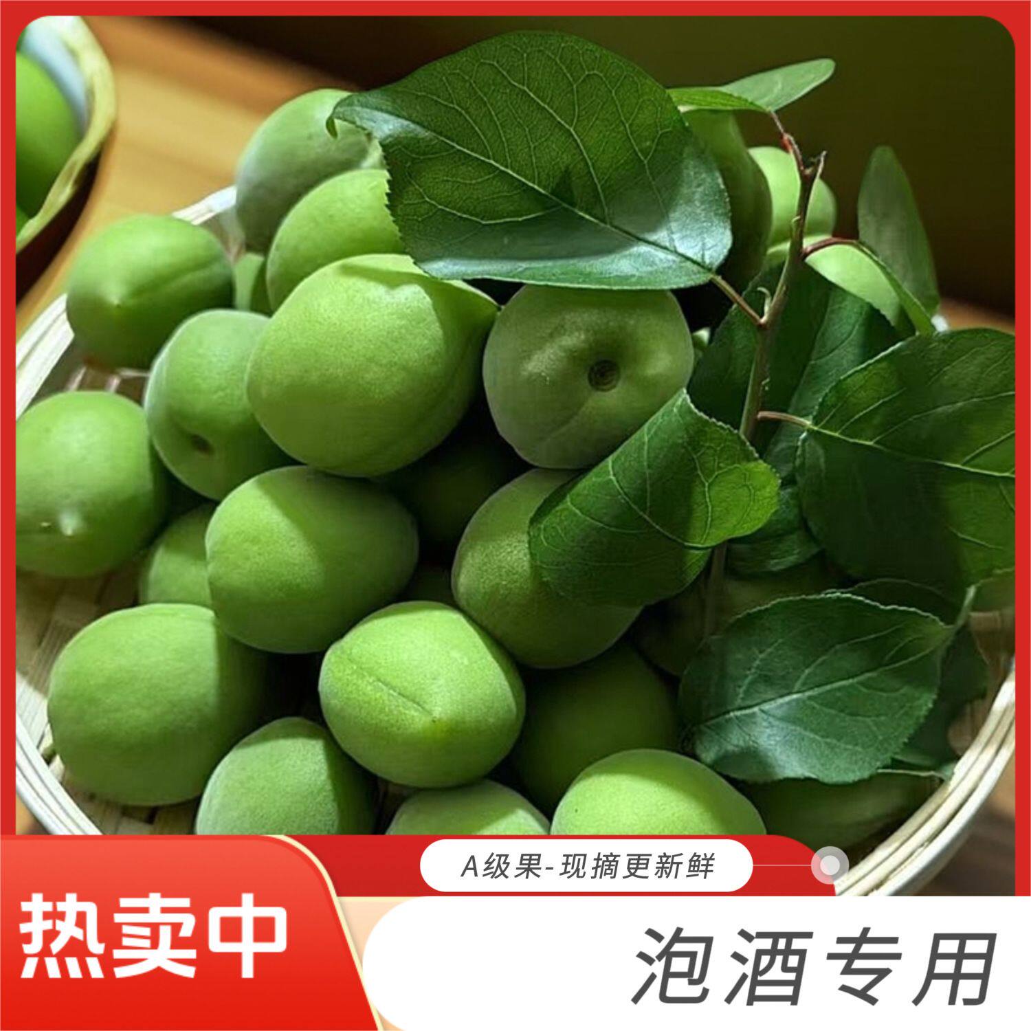 云南高山青梅新鲜果泡酒专用当季酸脆梅子水果孕妇