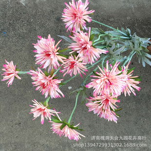 仿真花假花 仿真3头爪菊婚庆家居摄影装饰工程造景布置婚场