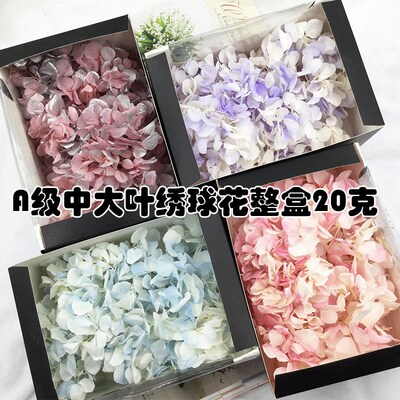 母亲节团建永生花A级大叶绣球花diy相框暴力熊玻璃罩现金礼盒材料