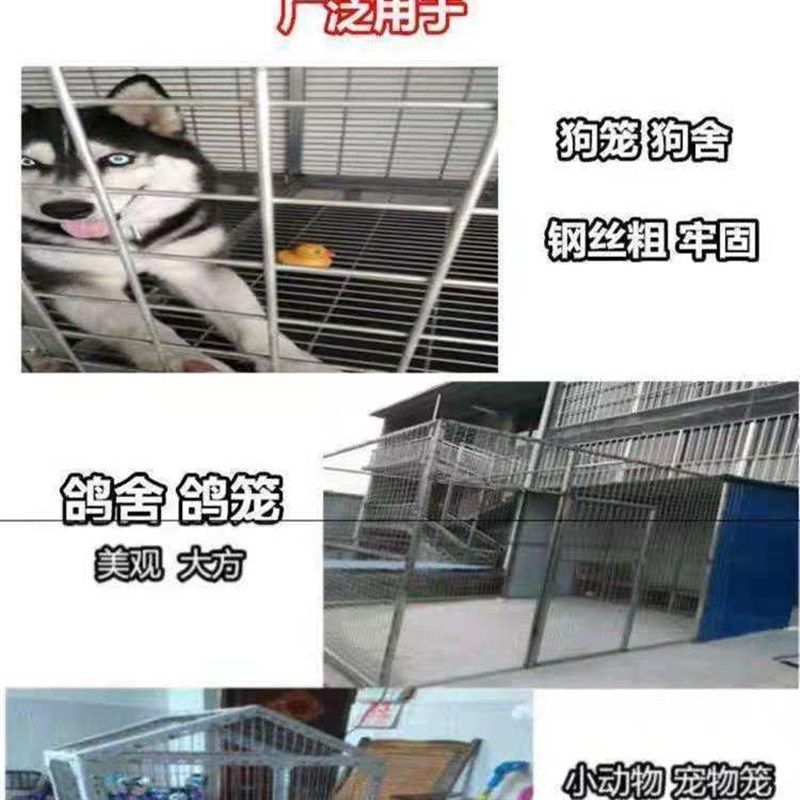 小格铁丝网片鸟笼兔笼鸽舍鸽棚围网镀锌护栏网养殖底网镀锌铁丝网