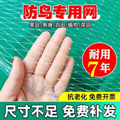 防鸟网果树果园网罩尼龙防乌鱼塘樱桃树防护网防小鸟的网
